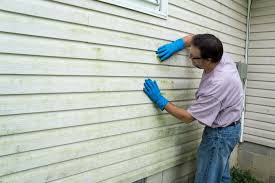 Best Vinyl Siding Installation  in University Gardens, NY